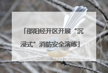 邵阳经开区开展“沉浸式”消防安全演练
