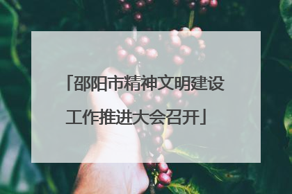邵阳市精神文明建设工作推进大会召开