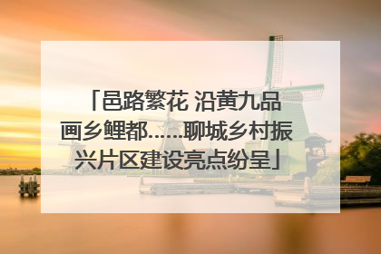 邑路繁花 沿黄九品 画乡鲤都……聊城乡村振兴片区建设亮点纷呈