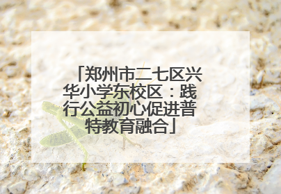 郑州市二七区兴华小学东校区：践行公益初心促进普特教育融合