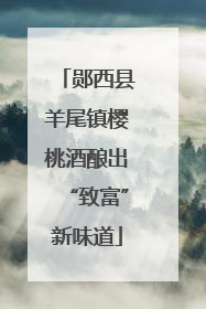 郧西县羊尾镇樱桃酒酿出“致富”新味道