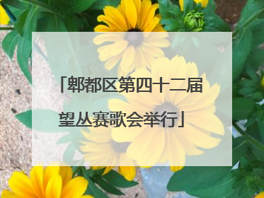 郫都区第四十二届望丛赛歌会举行