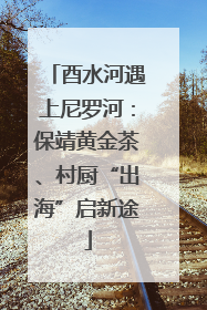 酉水河遇上尼罗河：保靖黄金茶、村厨“出海”启新途
