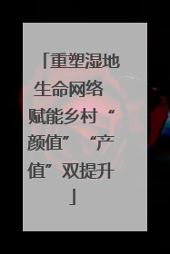 重塑湿地生命网络 赋能乡村“颜值”“产值”双提升