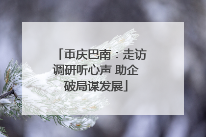重庆巴南：走访调研听心声 助企破局谋发展