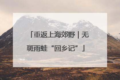 重返上海郊野｜无斑雨蛙“回乡记”
