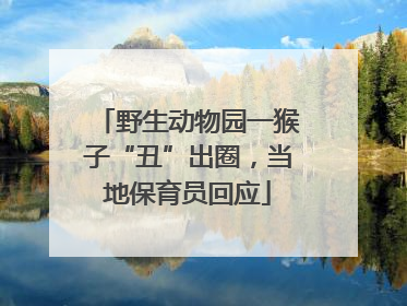 野生动物园一猴子“丑”出圈，当地保育员回应
