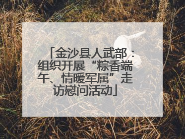 金沙县人武部：组织开展“粽香端午、情暖军属”走访慰问活动