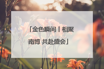金色瞬间丨相聚南博 共赴盛会