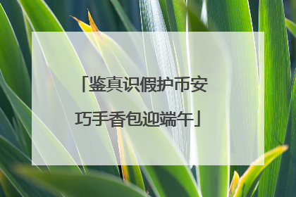 鉴真识假护币安 巧手香包迎端午
