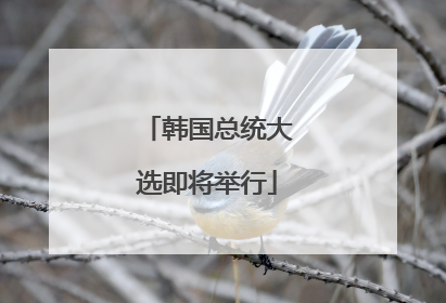 韩国总统大选即将举行