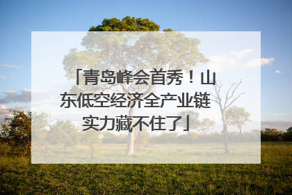 青岛峰会首秀！山东低空经济全产业链实力藏不住了