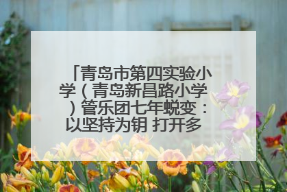 青岛市第四实验小学（青岛新昌路小学）管乐团七年蜕变：以坚持为钥 打开多元成长之门