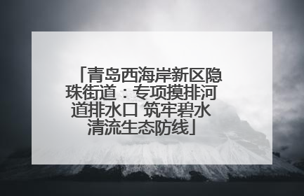 青岛西海岸新区隐珠街道：专项摸排河道排水口 筑牢碧水清流生态防线