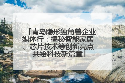 青岛隐形独角兽企业媒体行：揭秘智能家居、芯片技术等创新亮点 共绘科技新篇章