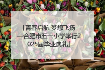 青春启航 梦想飞扬——合肥市五一小学举行2025届毕业典礼
