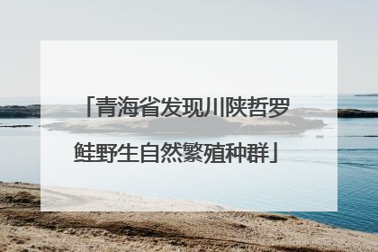 青海省发现川陕哲罗鲑野生自然繁殖种群