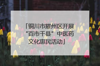 铜川市耀州区开展“百市千县”中医药文化惠民活动