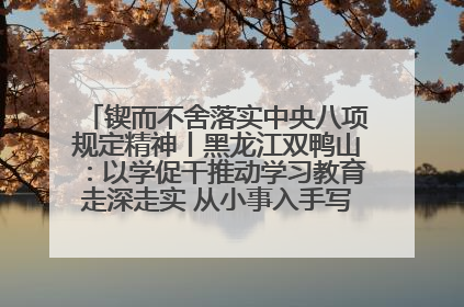 锲而不舍落实中央八项规定精神丨黑龙江双鸭山：以学促干推动学习教育走深走实 从小事入手写好“民生答卷”