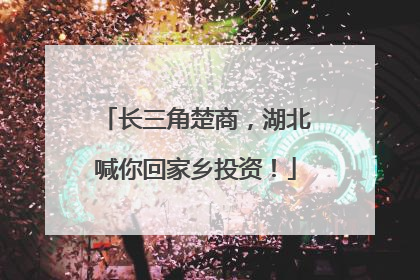长三角楚商，湖北喊你回家乡投资！