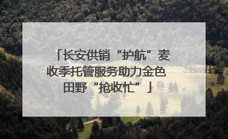 长安供销“护航”麦收季托管服务助力金色田野“抢收忙”