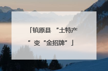 镇原县 “土特产”变“金招牌”