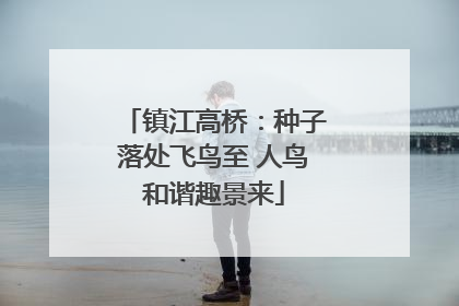 镇江高桥：种子落处飞鸟至 人鸟和谐趣景来