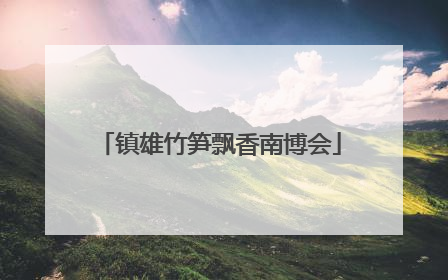 镇雄竹笋飘香南博会
