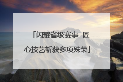 闪耀省级赛事  匠心技艺斩获多项殊荣