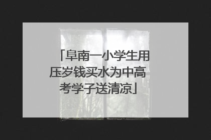 阜南一小学生用压岁钱买水为中高考学子送清凉