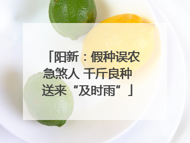 阳新：假种误农急煞人 千斤良种送来“及时雨”