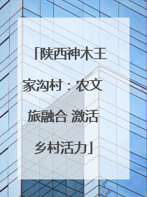 陕西神木王家沟村：农文旅融合 激活乡村活力