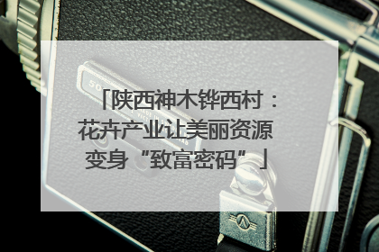 陕西神木铧西村：花卉产业让美丽资源变身“致富密码”