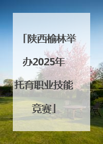 陕西榆林举办2025年托育职业技能竞赛
