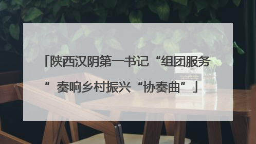 陕西汉阴第一书记“组团服务”奏响乡村振兴“协奏曲”