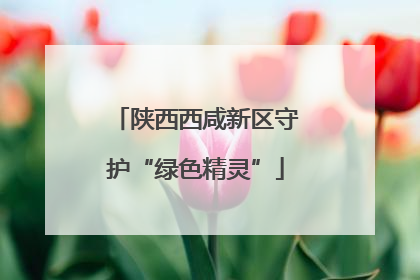 陕西西咸新区守护“绿色精灵”