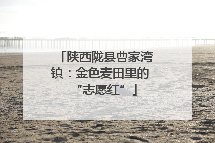 陕西陇县曹家湾镇：金色麦田里的“志愿红”