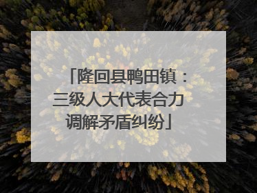 隆回县鸭田镇：三级人大代表合力调解矛盾纠纷