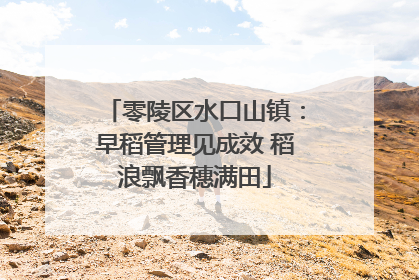零陵区水口山镇：早稻管理见成效 稻浪飘香穗满田