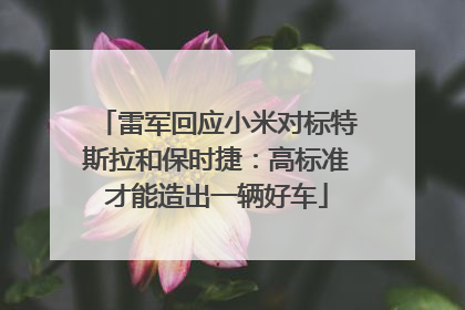 雷军回应小米对标特斯拉和保时捷：高标准才能造出一辆好车
