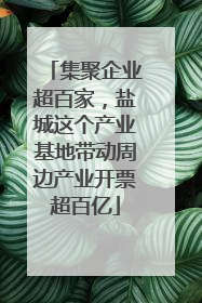 集聚企业超百家，盐城这个产业基地带动周边产业开票超百亿