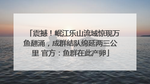 震撼！岷江乐山流域惊现万鱼翻涌，成群结队绵延两三公里 官方：鱼群在此产卵