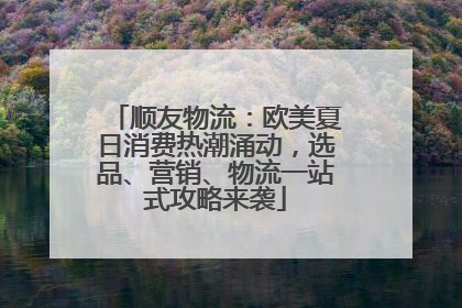 顺友物流：欧美夏日消费热潮涌动，选品、营销、物流一站式攻略来袭