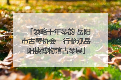 领略千年琴韵 岳阳市古琴协会一行参观岳阳楼博物馆古琴展