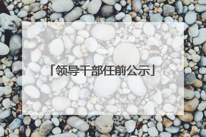 领导干部任前公示