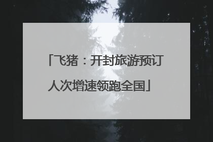 飞猪：开封旅游预订人次增速领跑全国