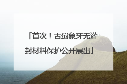首次！古蜀象牙无灌封材料保护公开展出