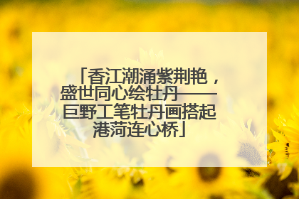 香江潮涌紫荆艳，盛世同心绘牡丹——巨野工笔牡丹画搭起港菏连心桥