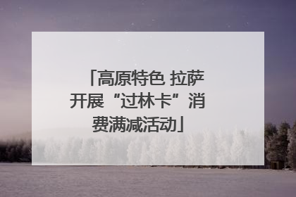高原特色 拉萨开展“过林卡”消费满减活动