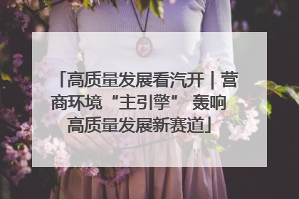高质量发展看汽开｜营商环境“主引擎” 轰响高质量发展新赛道